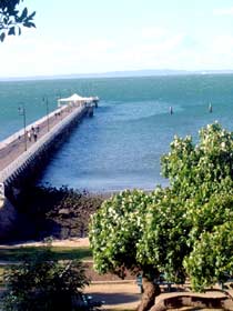Naracoopa Bed And Breakfast And Pavilion - Tourism Gold Coast 0