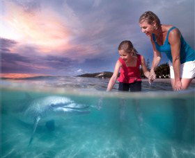 Moreton Island QLD Tourism Gold Coast
