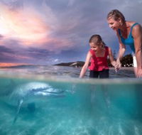 Tangalooma Island Resort - Tourism Gold Coast