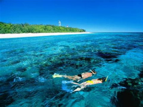 Lady Elliot Island Eco Resort - Day Trip - Tourism Gold Coast 0