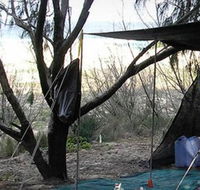 Main Beach Foreshore Camping Grounds - Tourism Gold Coast