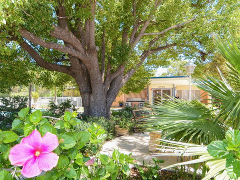 Balranald Sturt Motel - Balranald - Gold Coast 3