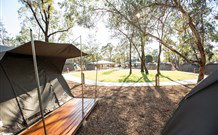 Billabong Camp, Taronga Western Plains Zoo, Dubbo - Tourism Gold Coast 1