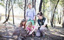 Billabong Camp, Taronga Western Plains Zoo, Dubbo - Tourism Gold Coast 5