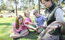 Billabong Camp, Taronga Western Plains Zoo, Dubbo - Tourism Gold Coast 4