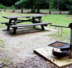 Bellbird campground - Tourism Gold Coast