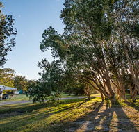 Delicate campground - Tourism Gold Coast