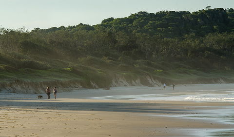 Delicate Campground - Tourism Gold Coast 1