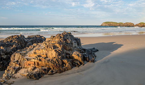 Delicate Campground - Tourism Gold Coast 2