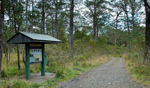 Devils Hole Campground And Picnic Area - Tourism Gold Coast 1