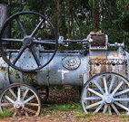 Dingo Tops campground - Tourism Gold Coast