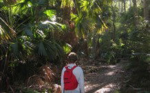 Durras Lake North Holiday Park - Tourism Gold Coast 7