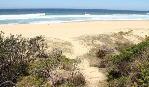 Gillards Campground - Tourism Gold Coast 1