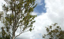 Glen Villa Resort And Tourist Park Casino - Tourism Gold Coast 0