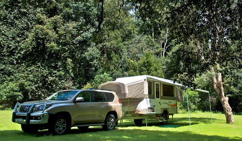 Gloucester River Campground - Tourism Gold Coast 0
