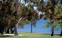 Great Aussie Holiday Park - Tourism Gold Coast 2