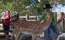 Great Aussie Holiday Park - Tourism Gold Coast 4