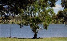 Great Aussie Holiday Park - Tourism Gold Coast 5