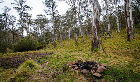 Gummi Falls Campground - Tourism Gold Coast 0