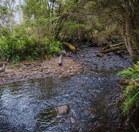 Horse Swamp campground - Tourism Gold Coast
