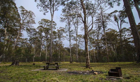 Horse Swamp Campground - Tourism Gold Coast 1