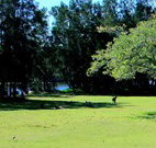 Island View Caravan Park and Holiday Cottages - Tourism Gold Coast