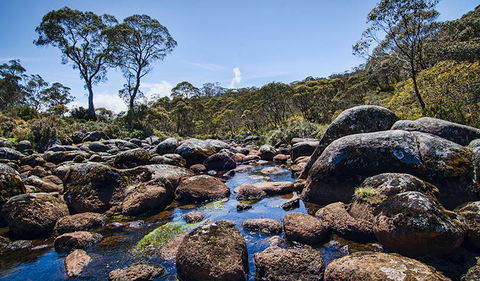 Junction Pools Campground - Tourism Gold Coast 2