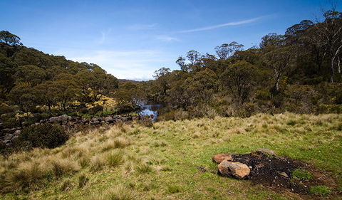 Junction Pools Campground - Tourism Gold Coast 1