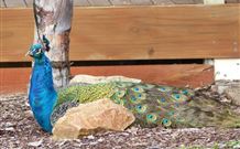 Lake Hume Tourist Park - Tourism Gold Coast 1