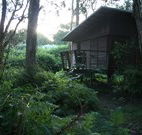 Melaleuca Surfside Backpackers - Tourism Gold Coast