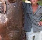 Michael's Clarence Valley Retreat - Tourism Gold Coast