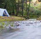 Nymboida Camping  Canoeing - Tourism Gold Coast