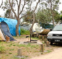 Picnic Point campground - Tourism Gold Coast