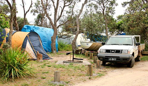 Picnic Point Campground - Tourism Gold Coast 0