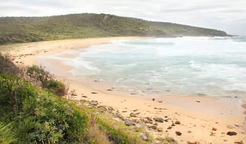 Picnic Point Campground - Tourism Gold Coast 2