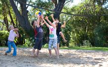 Port Stephens Treescape - Tourism Gold Coast 1