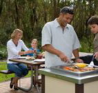 Port Stephens Treescape - Tourism Gold Coast