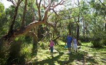 Port Stephens Treescape - Tourism Gold Coast 4