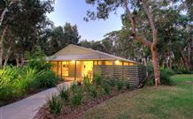 Port Stephens Treescape - Tourism Gold Coast 7