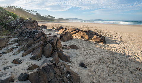 Racecourse Campground - Tourism Gold Coast 1