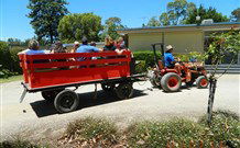 Rivergum Holiday Retreat - Tourism Gold Coast 2