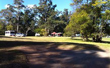 Mogood NSW Tourism Gold Coast