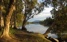 South West Rocks Tourist Park - South - Tourism Gold Coast 0