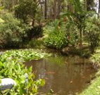 Tallowood Ridge B and B - Tourism Gold Coast