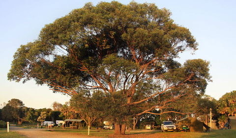 The Ruins Campground And Picnic Area - Tourism Gold Coast 1