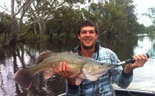 Wanganella Creek Camp Park - Tourism Gold Coast 1