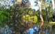 Wanganella Creek Camp Park - thumb 2