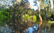 Wanganella Creek Camp Park - Tourism Gold Coast 2