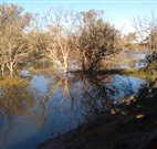 Warrawong on the Darling - Tourism Gold Coast