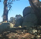 Warreen Farmstay Rural Accommodation - Tourism Gold Coast